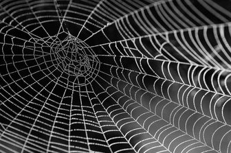 Complex web of interconnected LLCs, symbolizing hidden connections and obscured ownership within Baldwin County politics