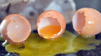 Broken eggshells and yolk illustrate Fairhope City Council’s dysfunction and lack of progress