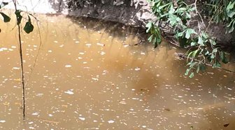 Brown water in a creek, likely polluted, reflecting concerns about environmental violations mentioned in the article