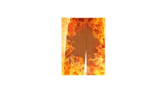 Burning pants symbolize corruption and deceit by Alabama legislators detailed in this article