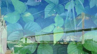 Mobile River Bridge overlaid with green leaves, representing local opposition to proposed toll increases for Mobile and Ba...