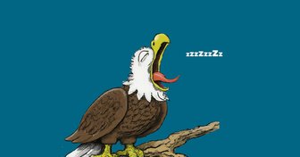 Cartoon bald eagle sleeping on a branch, symbolizing alleged corruption and complacency in Fairhope elections