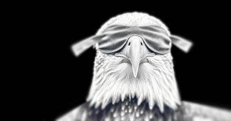 Eagle with blindfold against black background; symbolizes privacy concerns and limited data collection practices