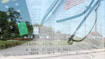 Financial documents overlaid on a tree branch, symbolizing Fairhope City Council’s budget failures and lack of leadership