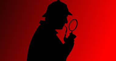 Investigating the Investigators - Ripp Report