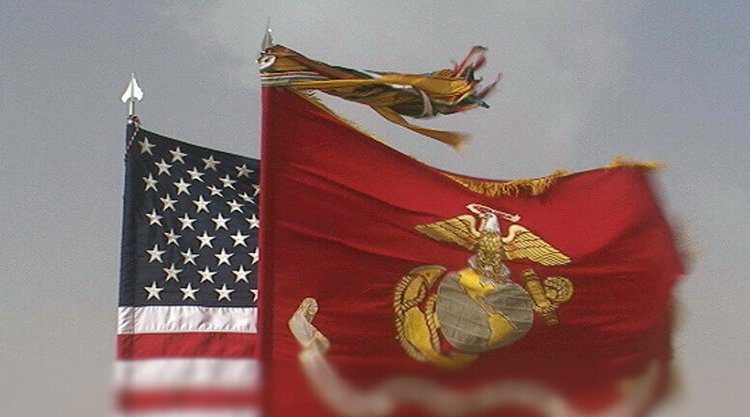 SEMPER FI / VETERANS DAY