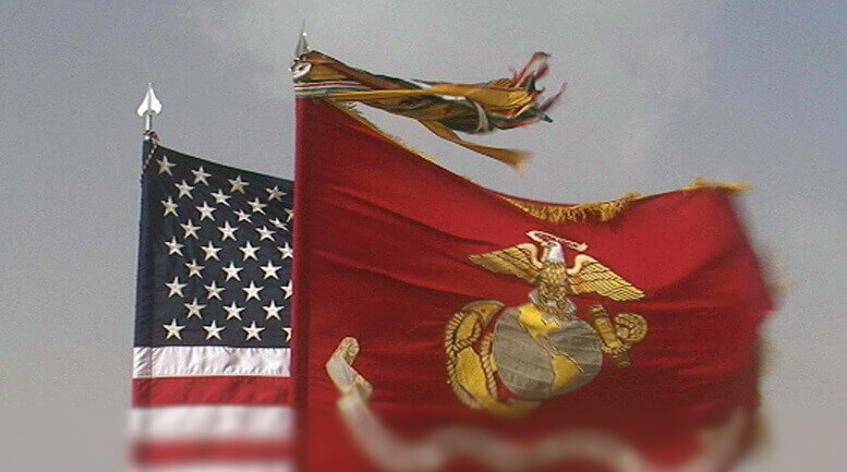 SEMPER FI / VETERANS DAY